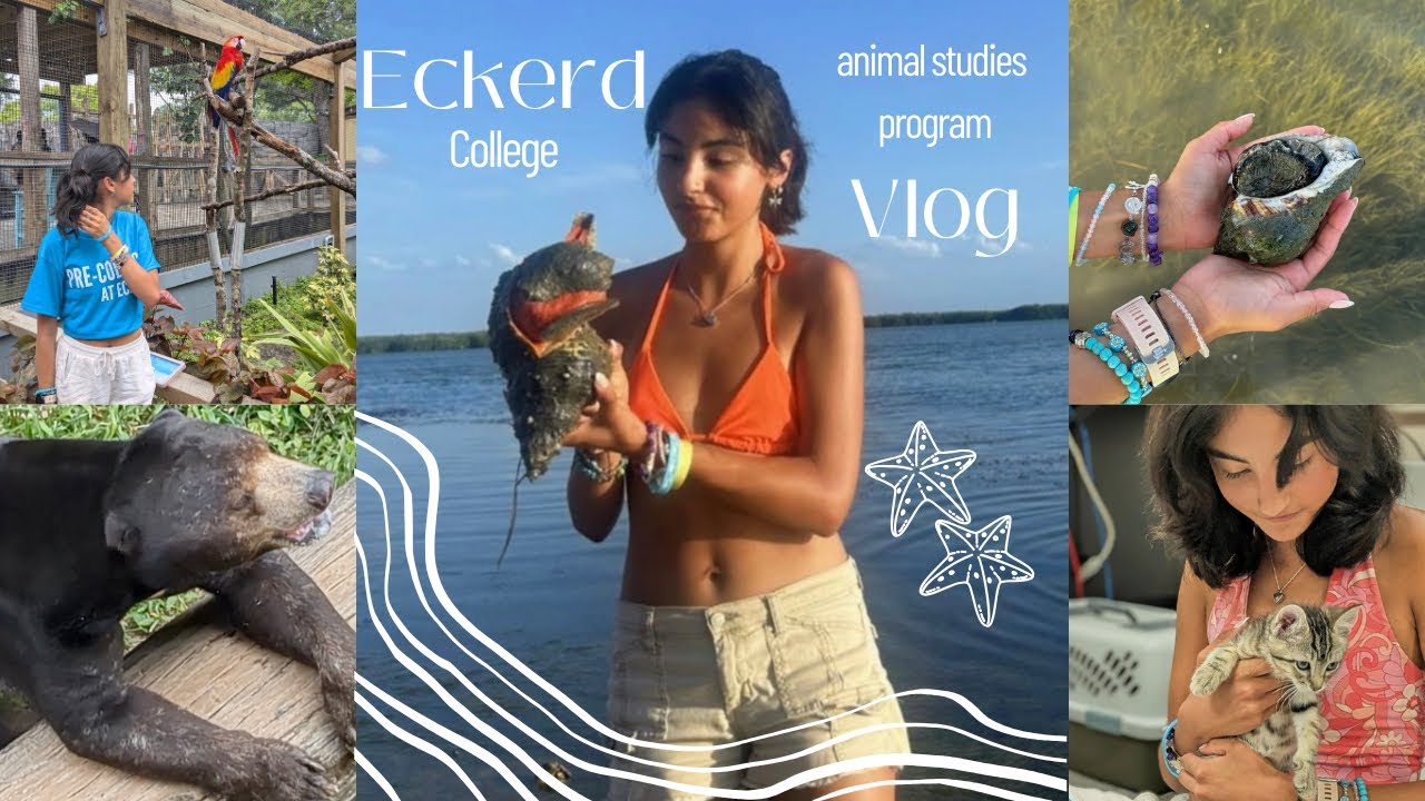 Eckerd College Animal Studies Program Vlog