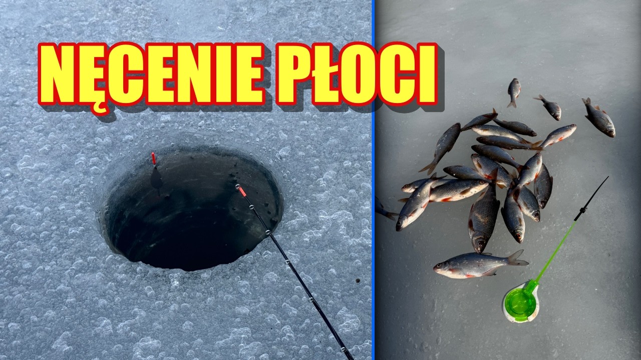 ZANĘTA I NĘCENIE PŁOCI POD LODEM!!!! POŁOWIONE!!!!!