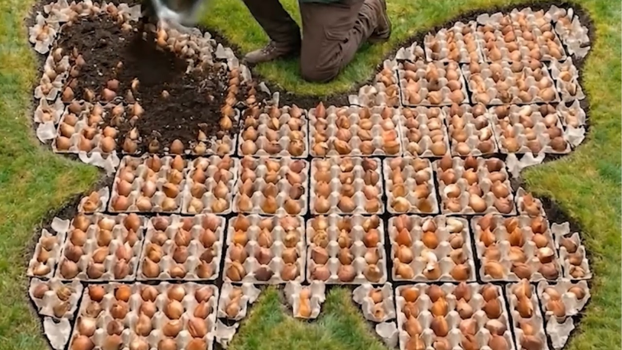 Ich sammle mehrere Wochen lang Eierkartons. Im Fr&uuml;hling lege ich sie im Garten aus