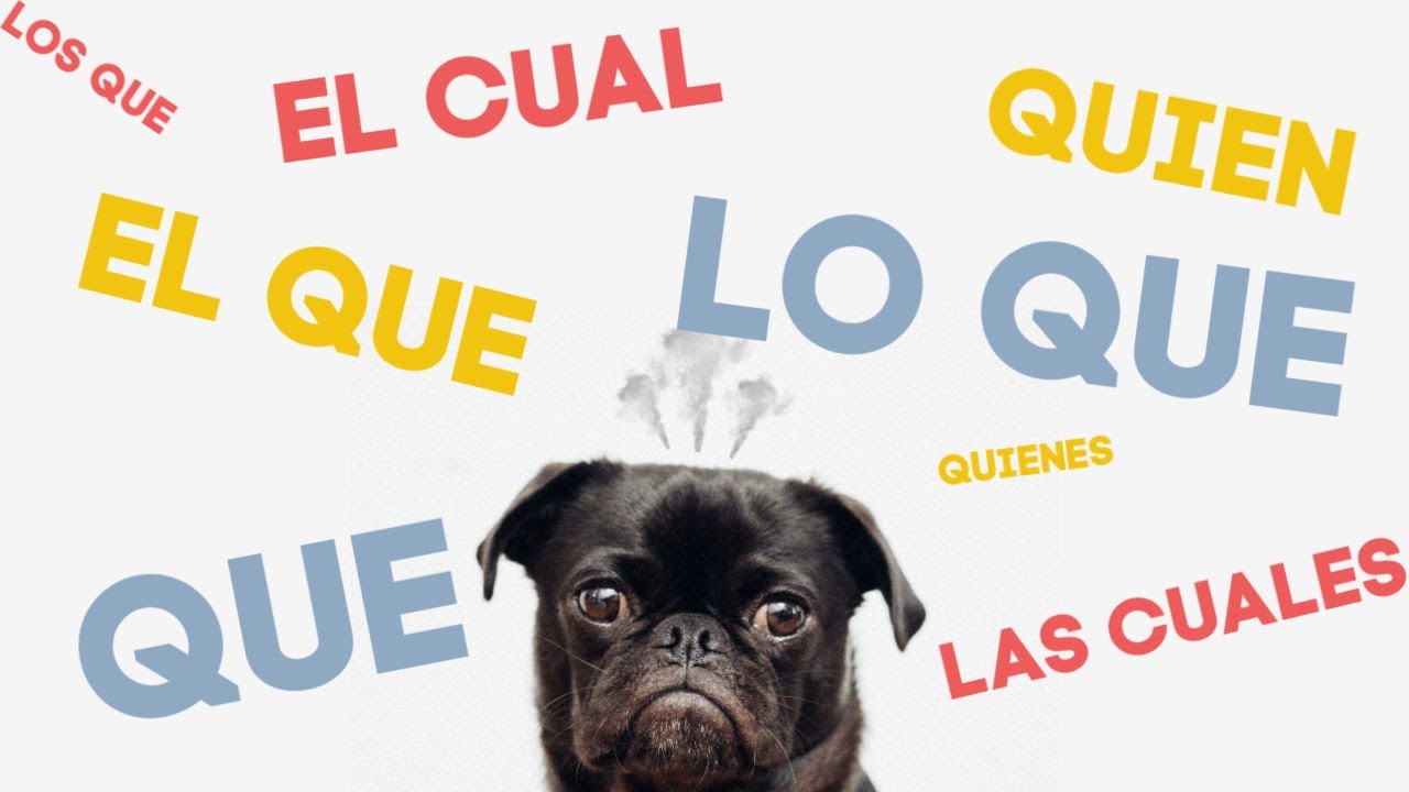 Cómo Usar los Pronombres Relativos en Español (QUE, EL QUE, EL CUAL, QUIEN) | Gramática Avanzada