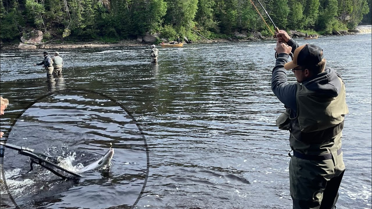 DRY FLIES FOR SALMON ! AGGRESSIVE FISH! HUMBER RIVER West Coast  Newfoundland