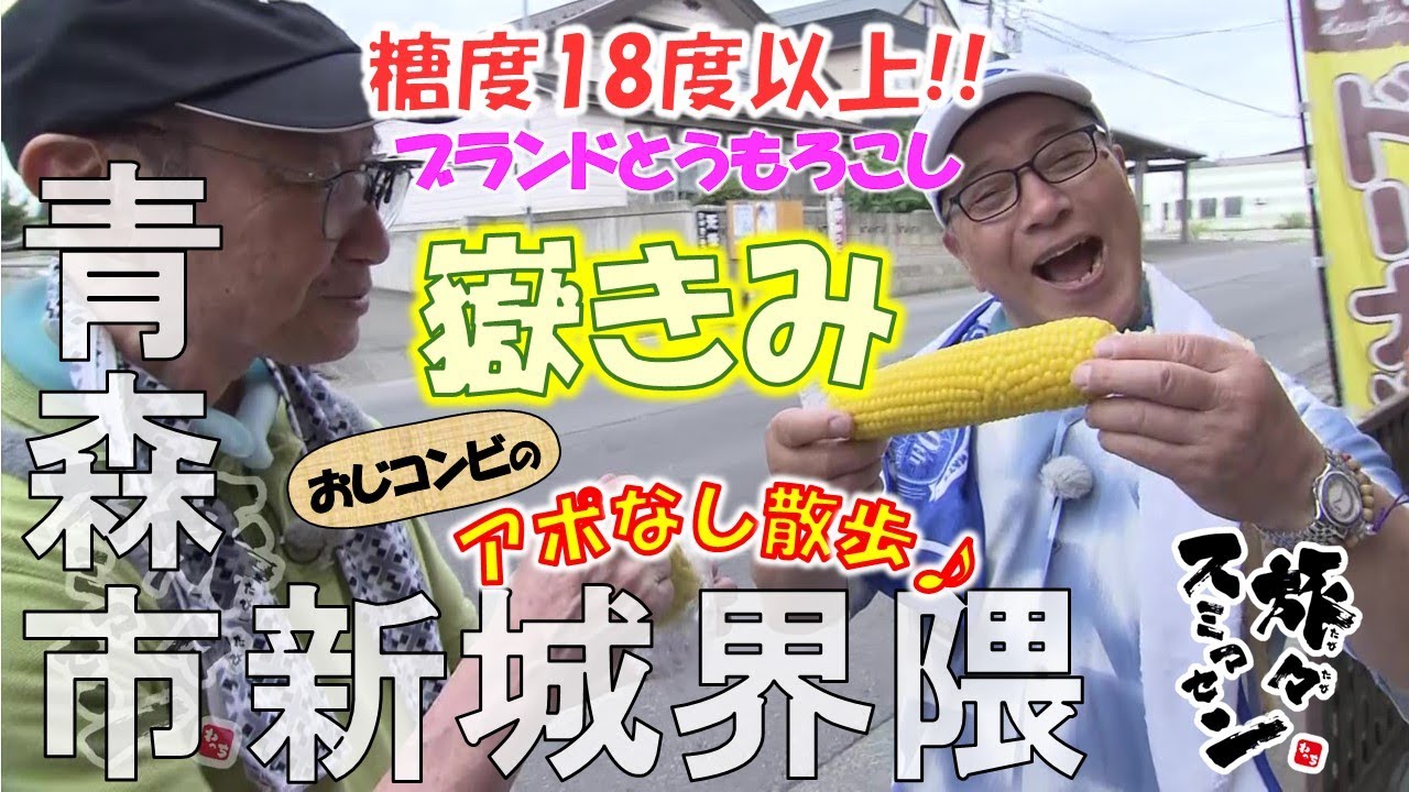 【#旅々スミマセン】青森市新城界隈でアポなし散歩　糖度18度以上の甘～いブランドとうもろこし「嶽きみ」をまるかじり!!「わ～甘みがぎゅっと」