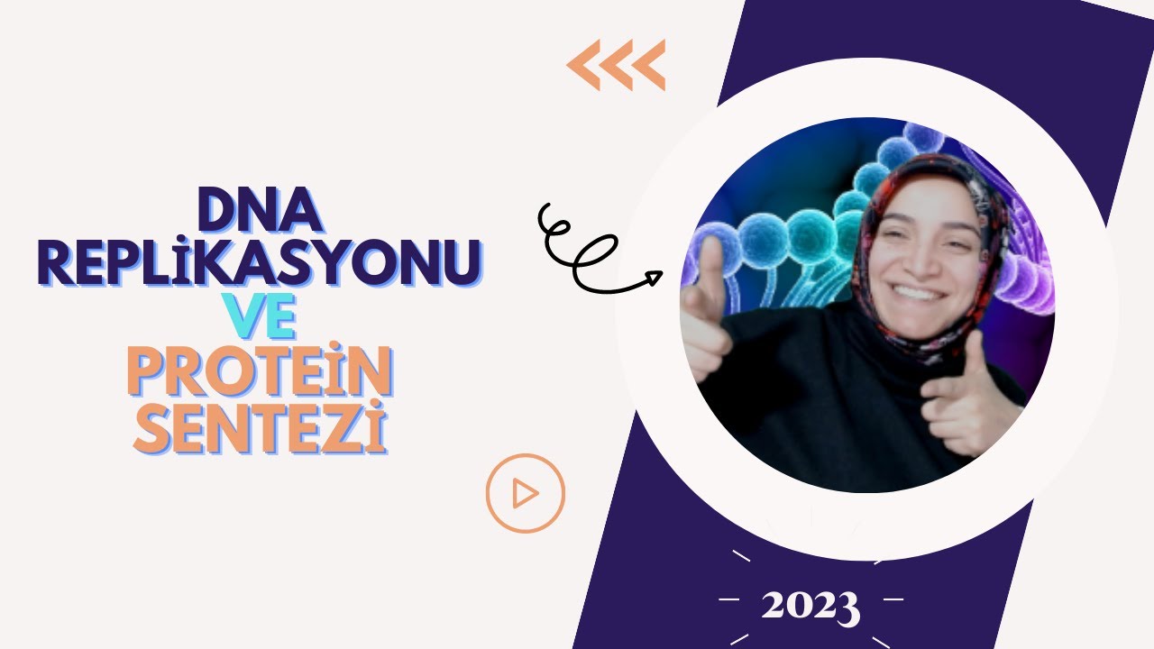 DNA REPLİKASYONU ve PROTEİN SENTEZİ