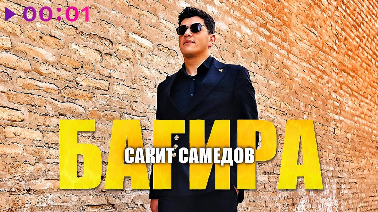 Сакит Самедов - Багира | Official Audio | 2024