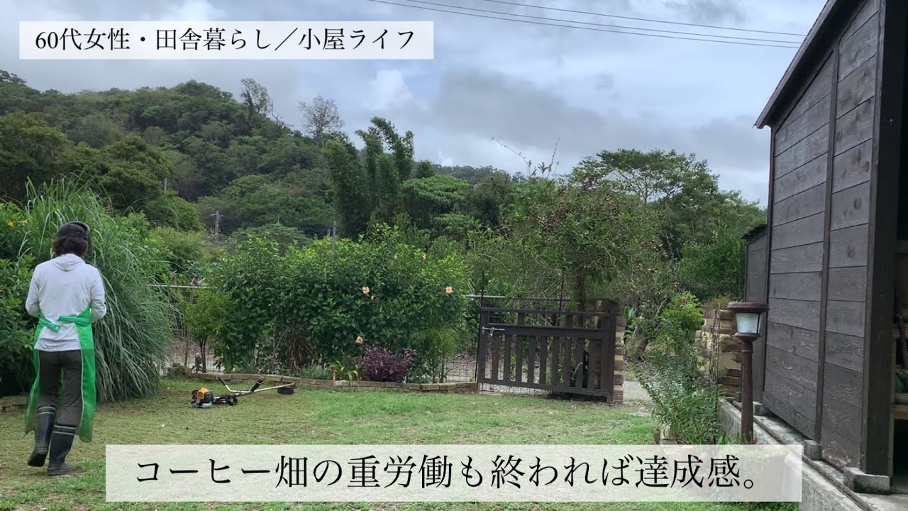 [60代女性•田舎暮らし/小屋ライフ] コーヒー畑の重労働も終われば達成感！！