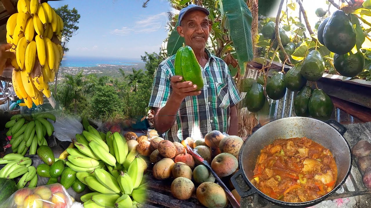 Asi se pierde las frutas en este Paraiso, La vida del campo