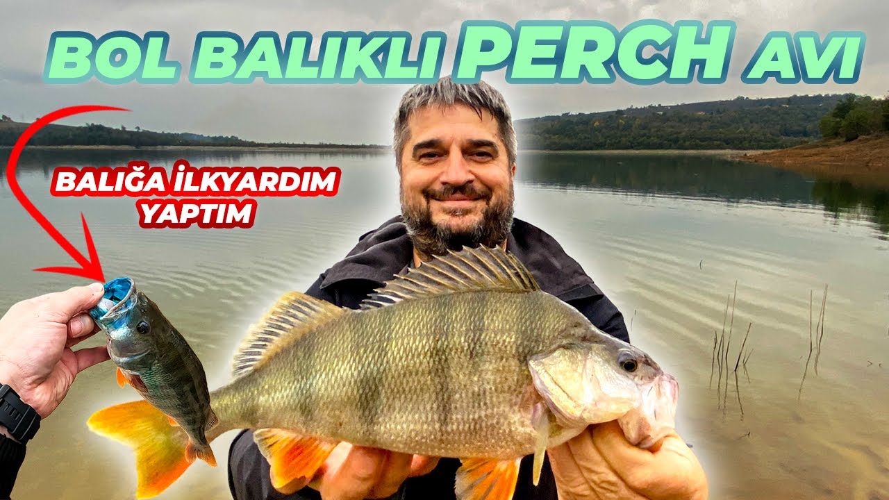 Balığa İlk Yardım Yaptım / Şahane bir Perch Avı @AhmetCalsr