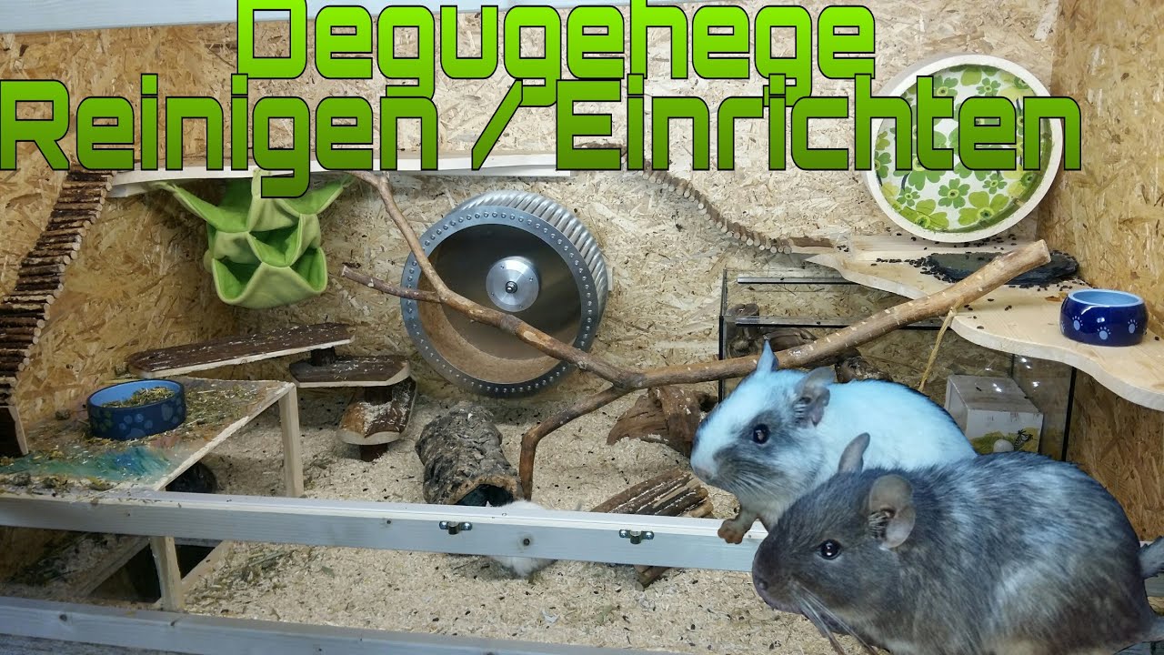 Degugehge Reinigen/Einrichten #1
