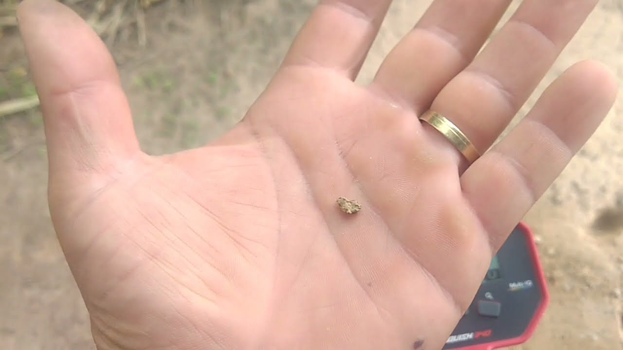 vanquish 340 vs 540. teste com Pepitas ouro. configuração. id's para ouro. comparando os detectores.