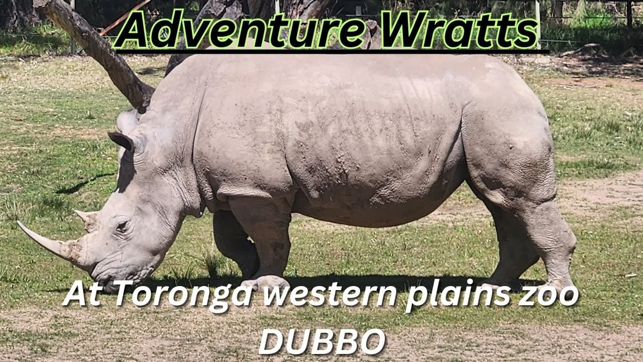 Adventure Wratts/Dubbo Toronga Western Plains  zoo/ start of the holidays
