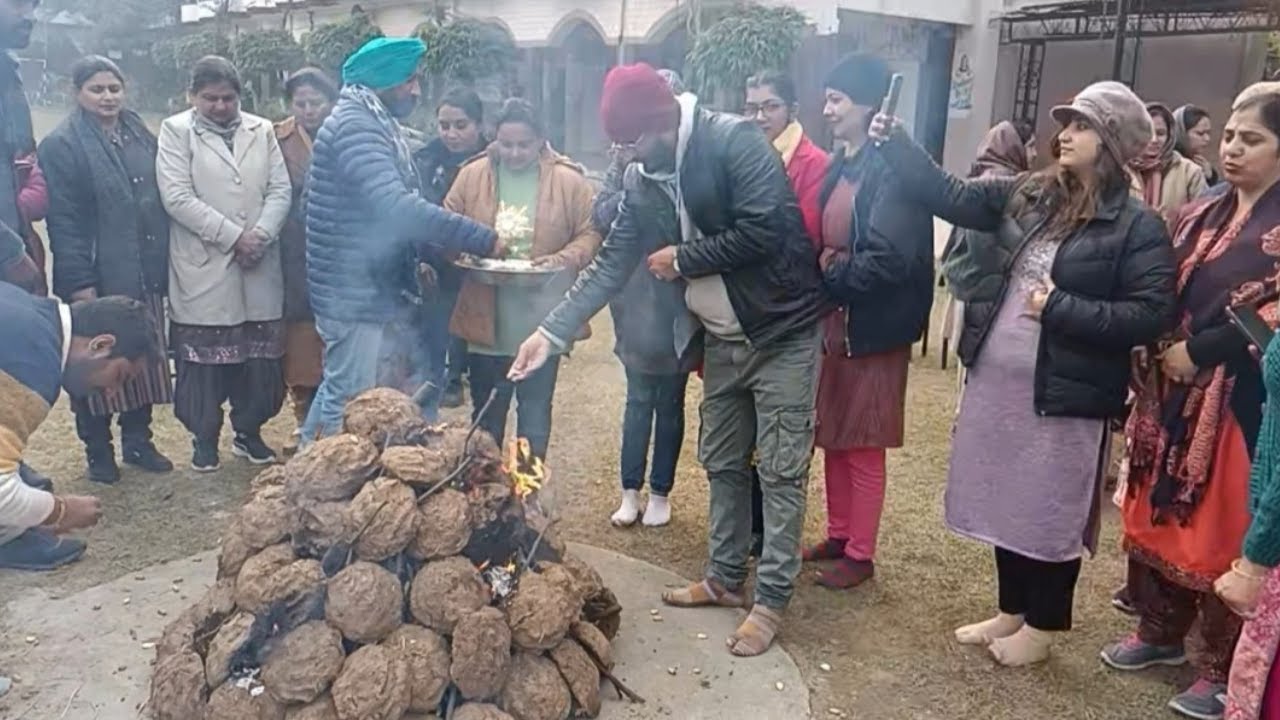 Celebrated Lohri in School😊| #dav Bilga