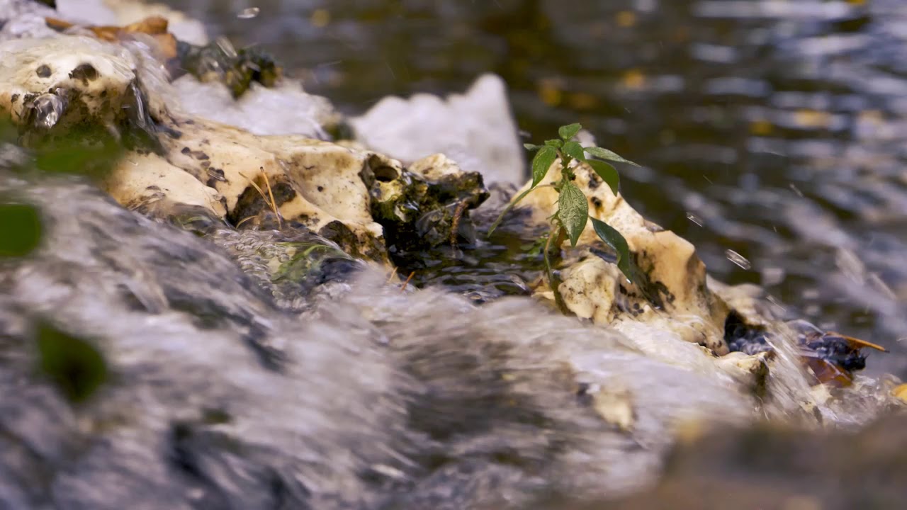 RELAJÁNDOSE EN EL PARQUE DEL RETIRO DE MADRID EN OTOÑO.     PARTE 1