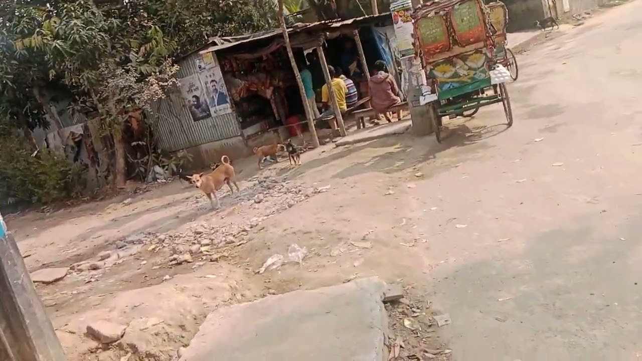 জীবনের সফলতা চূড়ান্তের যদি পৌঁছাতে চান তাহলে আপনার ভেতরে এই দুইটা জিনিস থাকা অত্যন্ত দরকার আছে