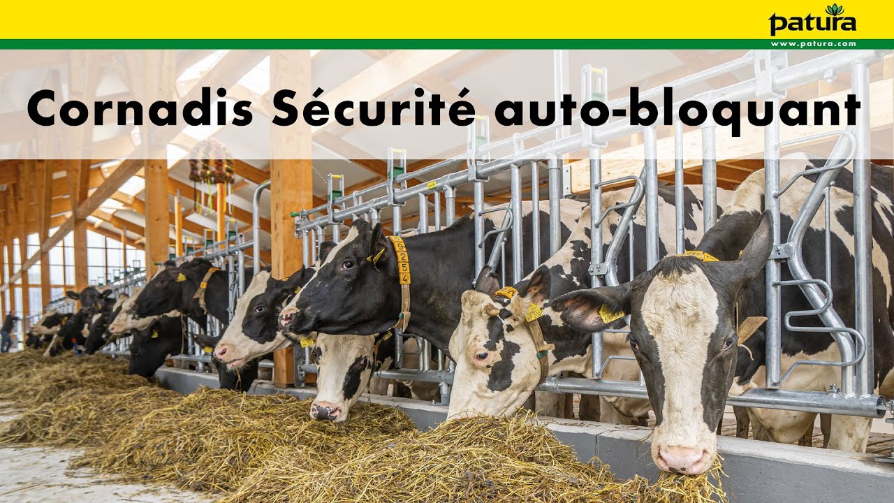 PATURA Cornadis Sécurité auto-bloquant
