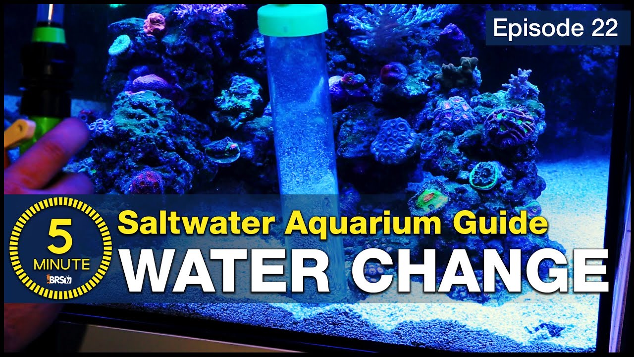 Change your saltwater aquarium water and change your reefing hobby life!
