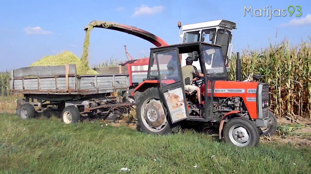 Zbiór kukurydzy na kiszonkę 2016 [Mengele SF5600 & Massey Ferguson 3060 i inni]