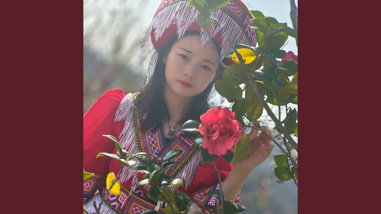 樱花泪