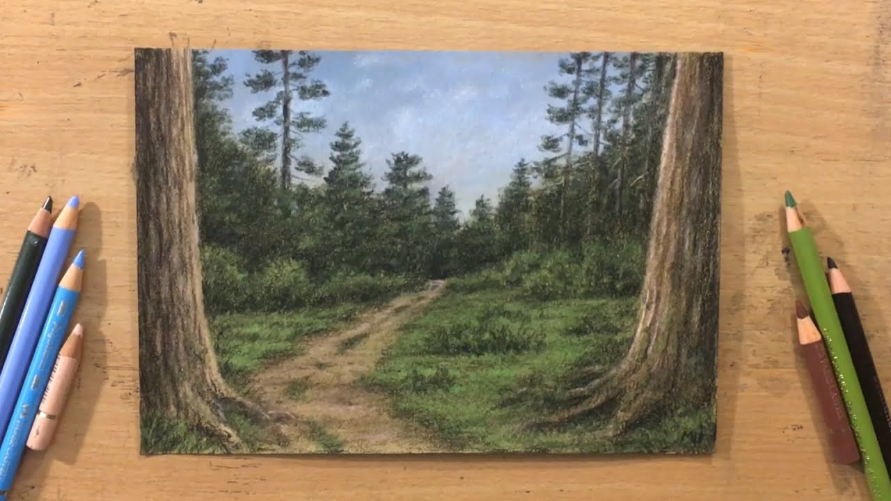 Forest Landscape In Colored Pencil