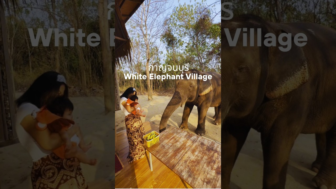 White Elephant Village
