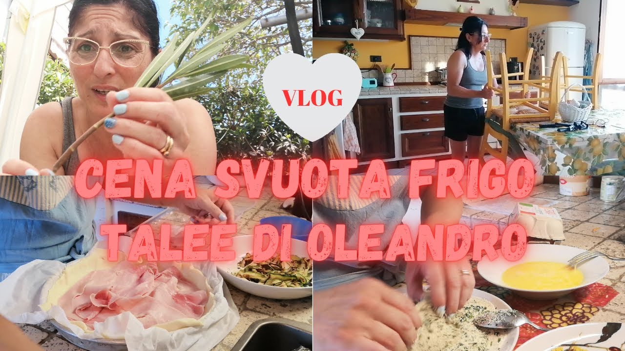 CENA SVUOTA FRIGO👩‍🍳 TALEE OLEANDRO🌱