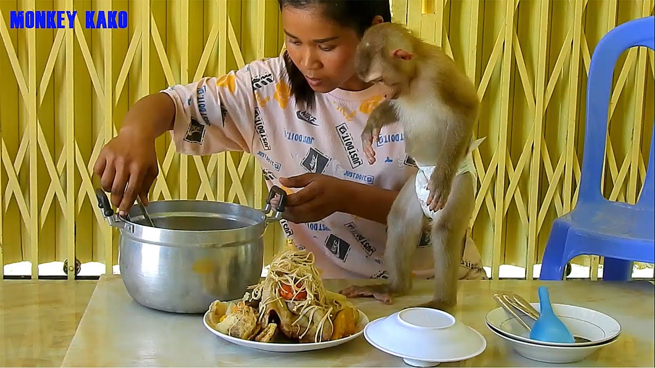 Smart Monkey Kako Standing Wait Mom Cooking Roasted Chicken With Coca Cola
