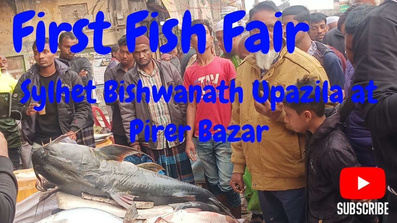 First Fish Fair Sylhet Bishwanath Upazila at Pirer Bazar 2023 by i bangla tv