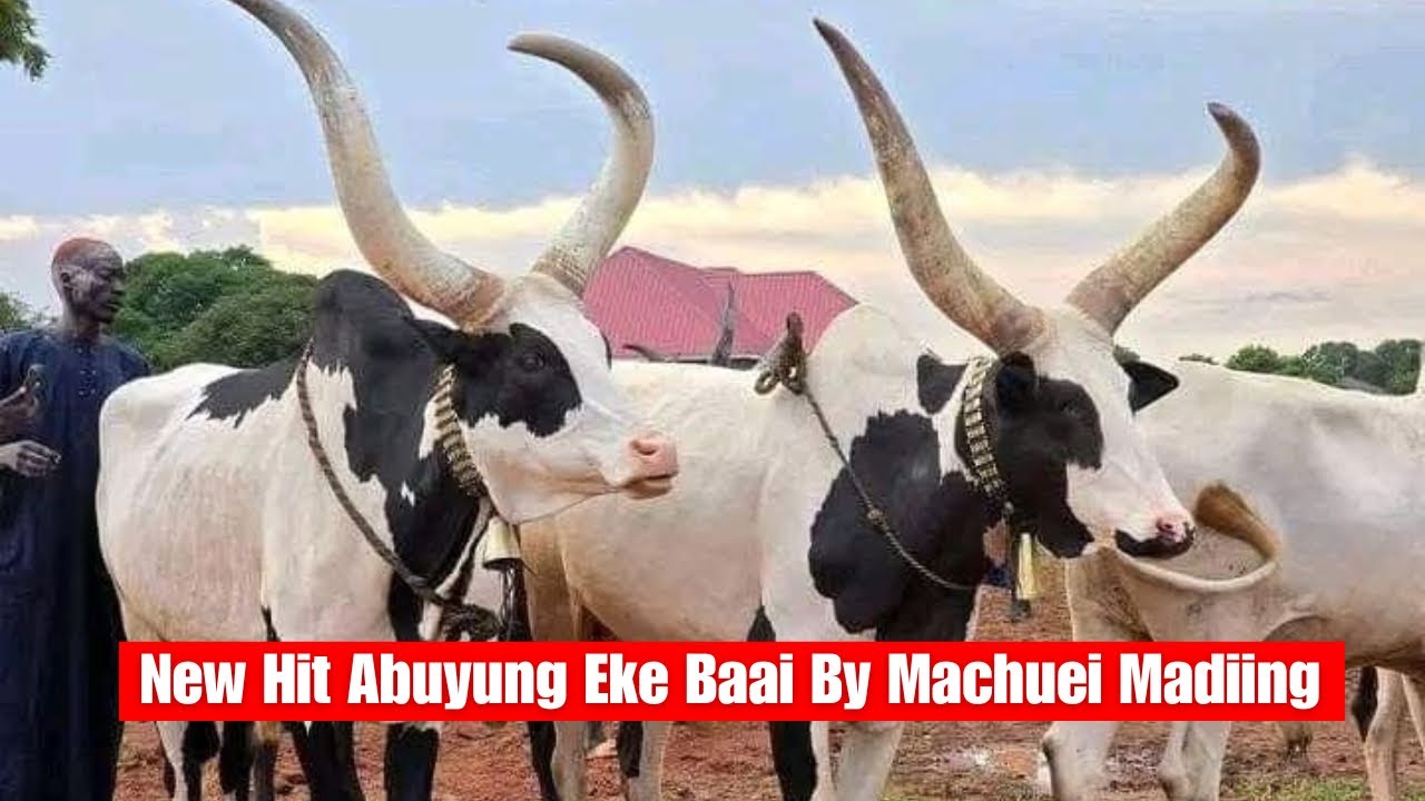 New Classic Dergel Hit Song Abuyung Eke Baai By Machuei Madiing