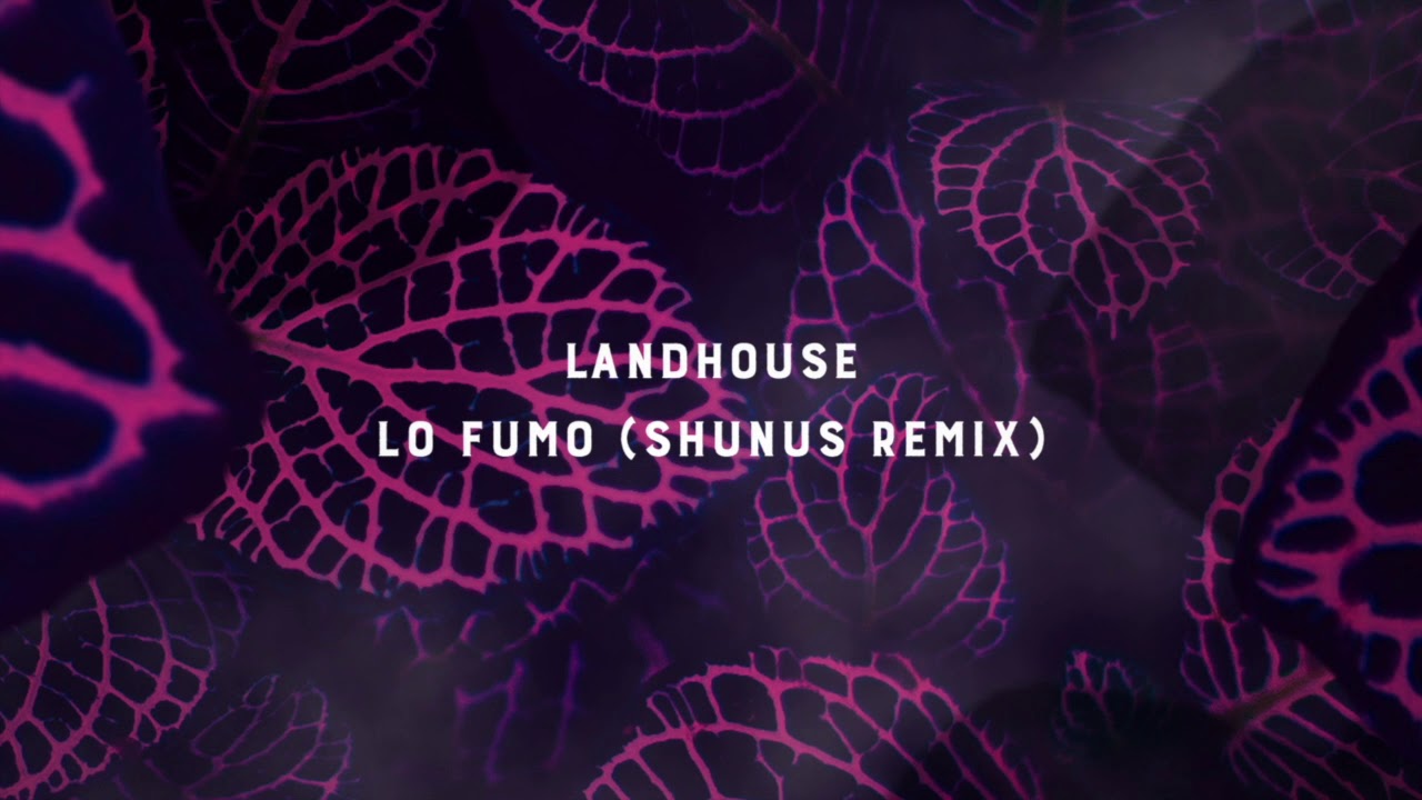 Landhouse - Lo Fumo (Shunus Remix)
