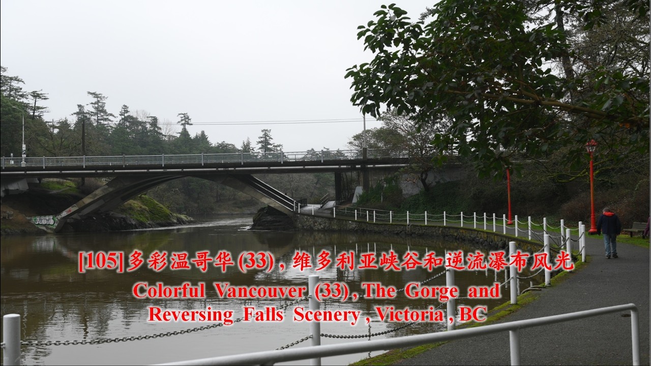 [105] 多彩温哥华 (33) , 维多利亚峡谷和逆流瀑布风光; Colorful Vancouver (33), The Gorge , and Reversing Falls Scenery