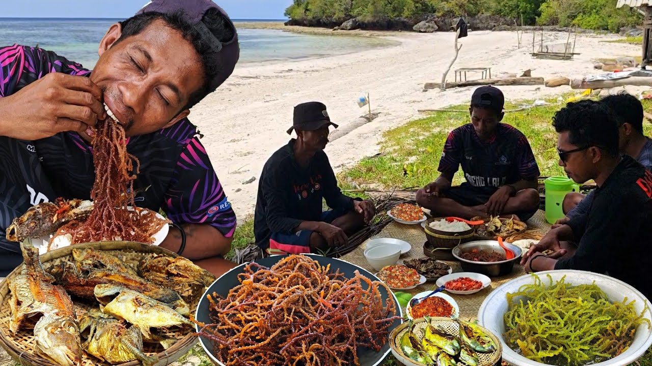 Hari ke 22 di Pulau Terpencil BERTAHAN HIDUP MASAK RUMPUT LAUT & BERBURU IKAN DI PANTAI
