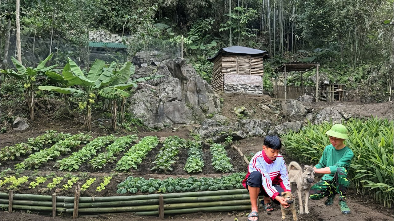 Growing vegetables, ginger, and bananas at home - Jota says her final goodbyes to her dog Mickey.