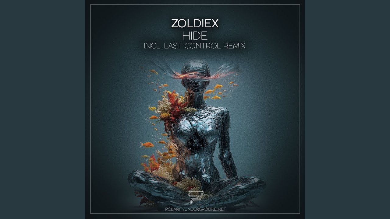 Hide (Last Control Remix)