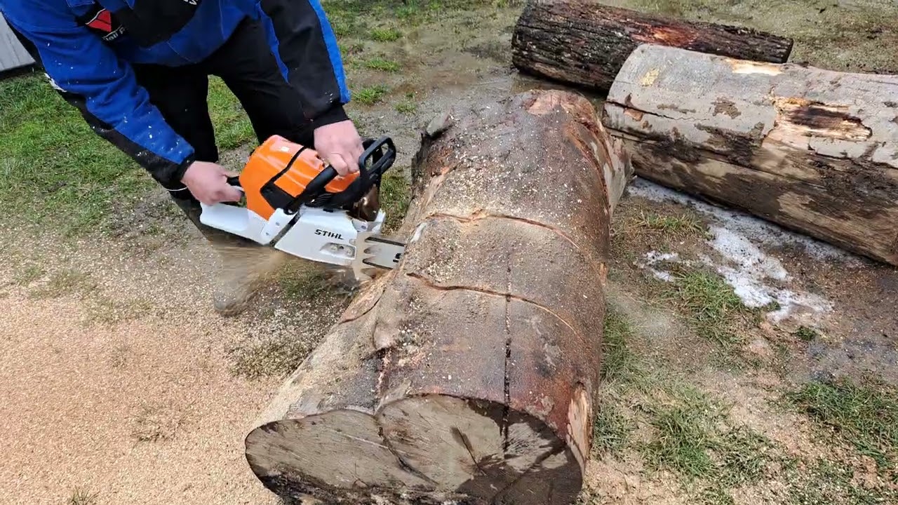 Stihl ms 661 Bükk fában 
