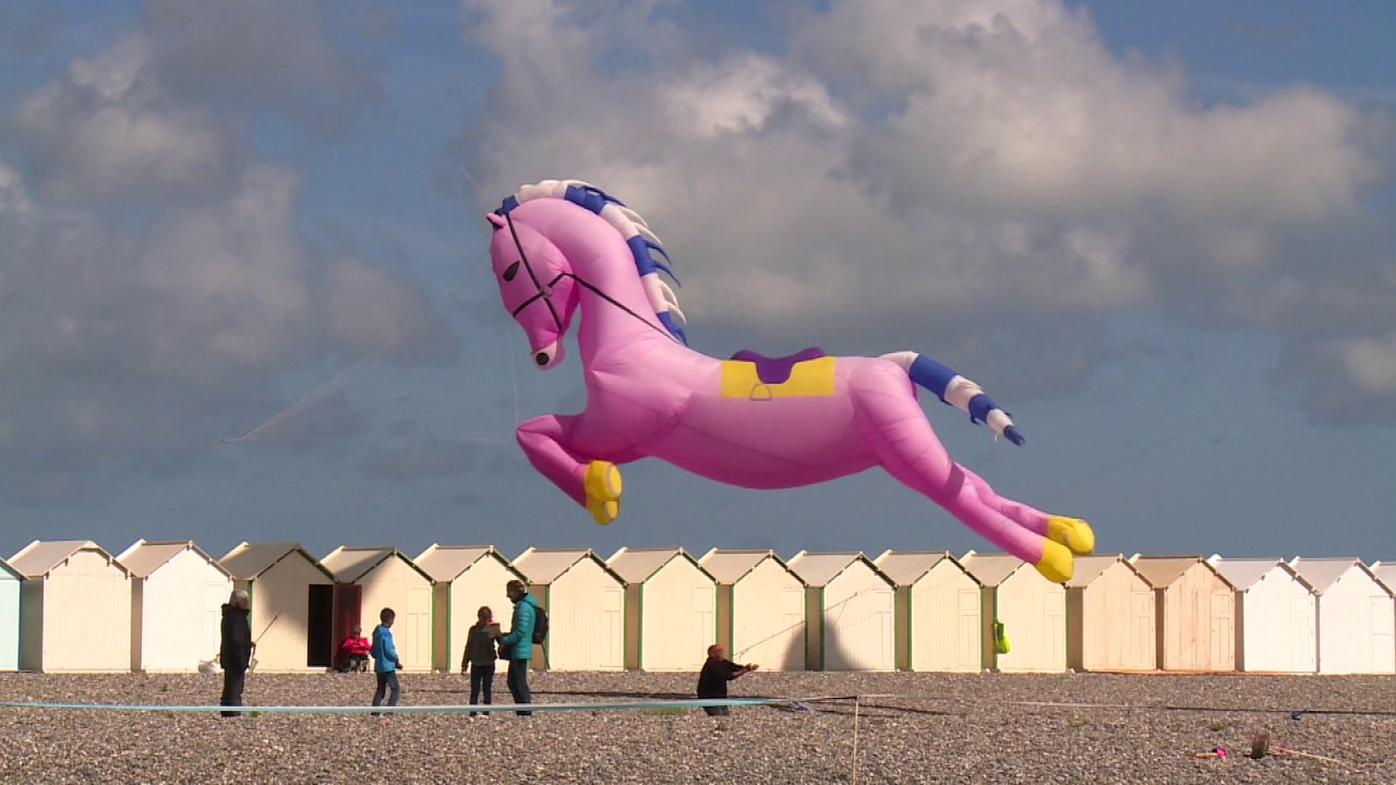 Festival de cerfs-volants de Cayeux-sur-Mer, en images !