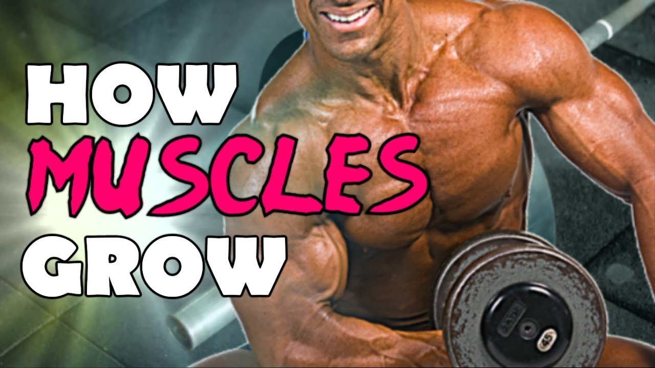 How Can You Gain 4lb Muscle In A Month?