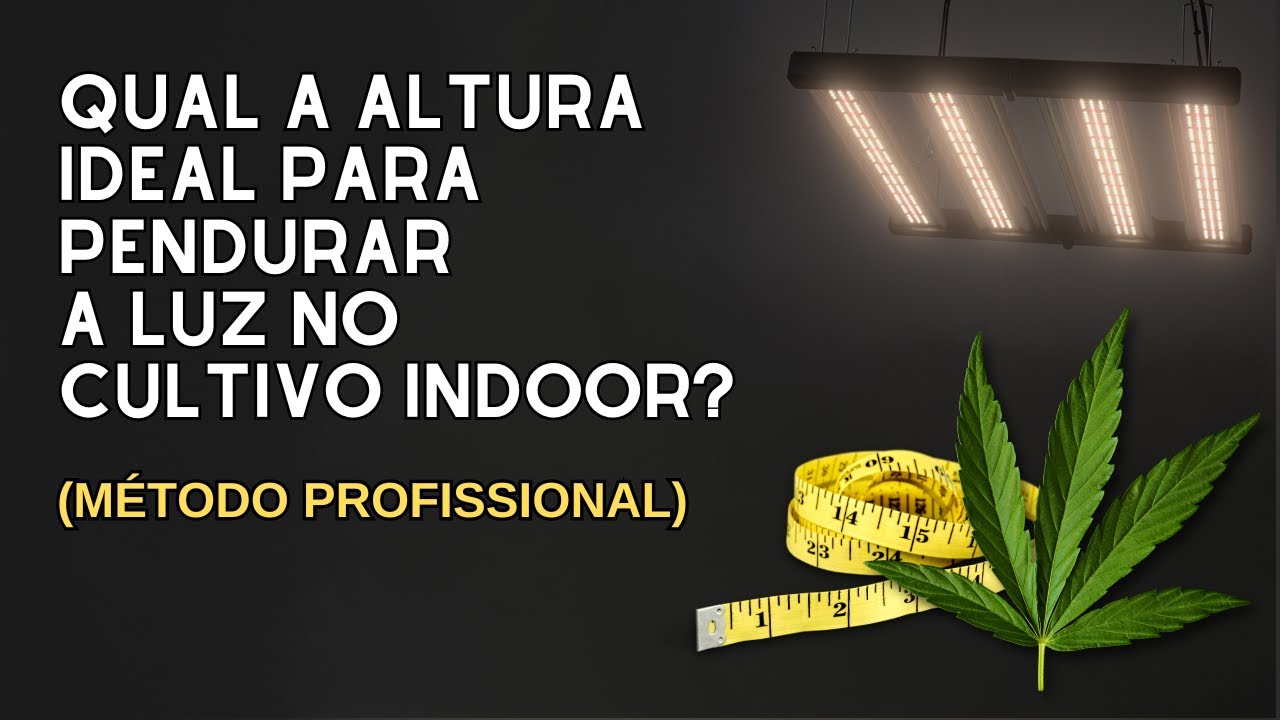 Voc&ecirc; Sabe a ALTURA Ideal para Pendurar a Luz no CULTIVO INDOOR? (medindo PPFD)