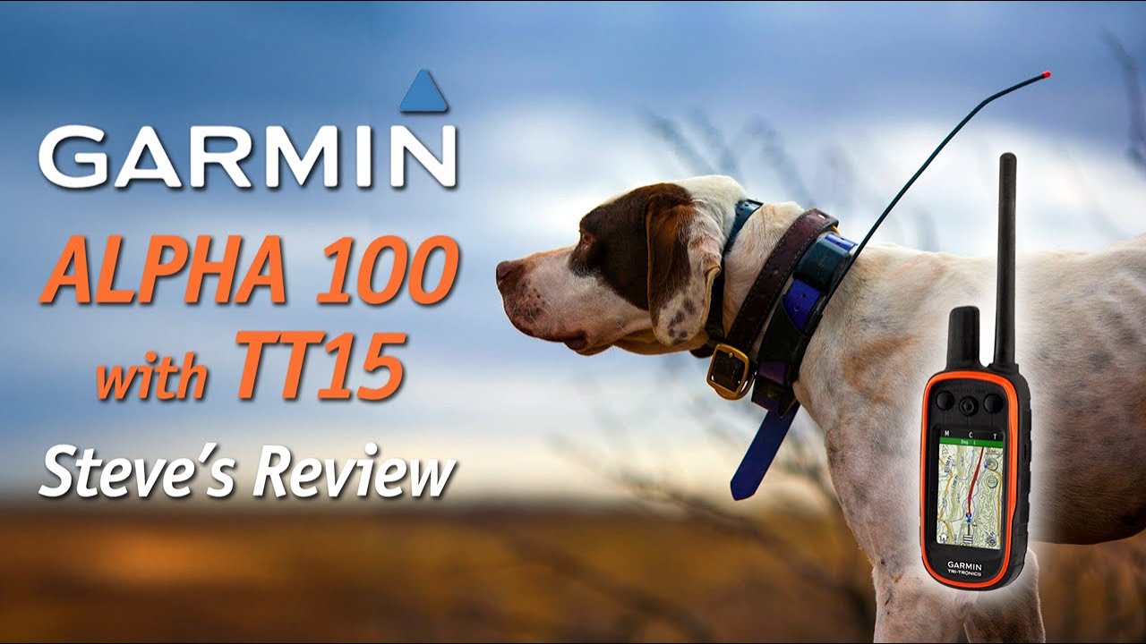 Garmin ALPHA 100 + TT15: The Field-Proven Dog GPS That Works
