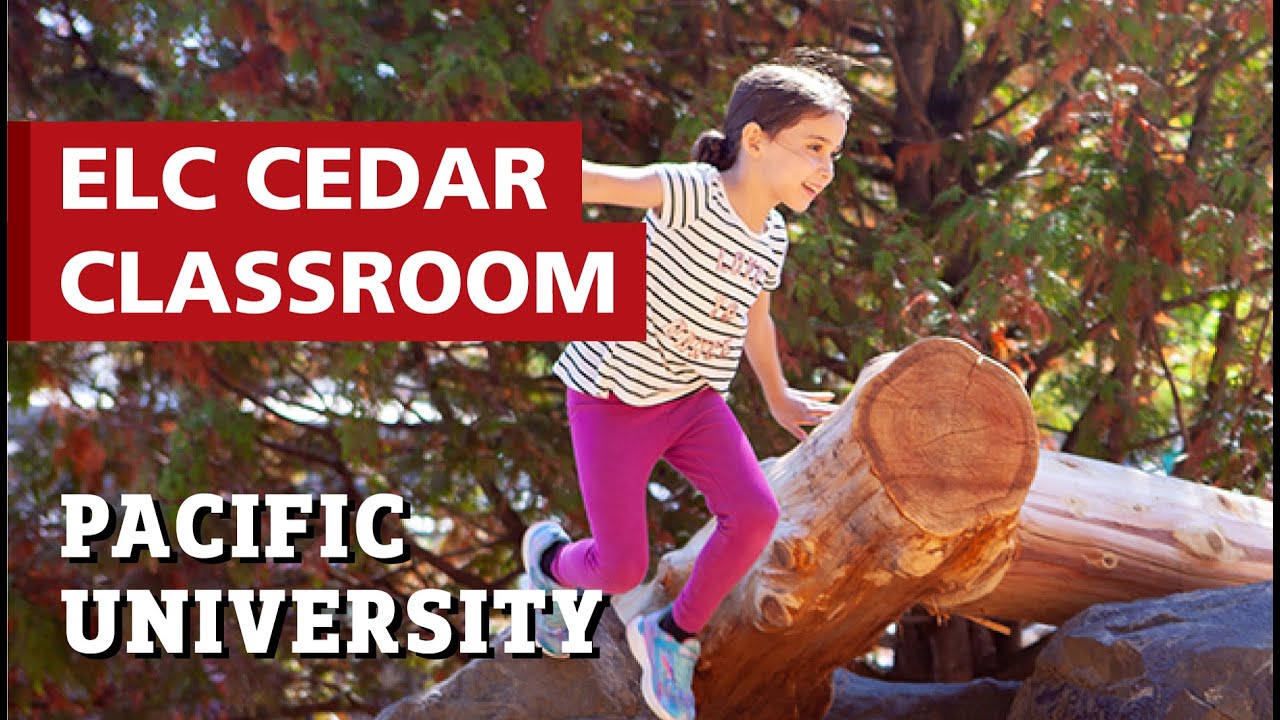 Lead On | Pacific University Cedar Classroom