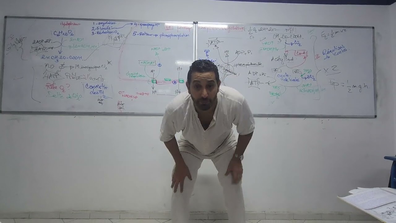phosphorylation oxydative 1