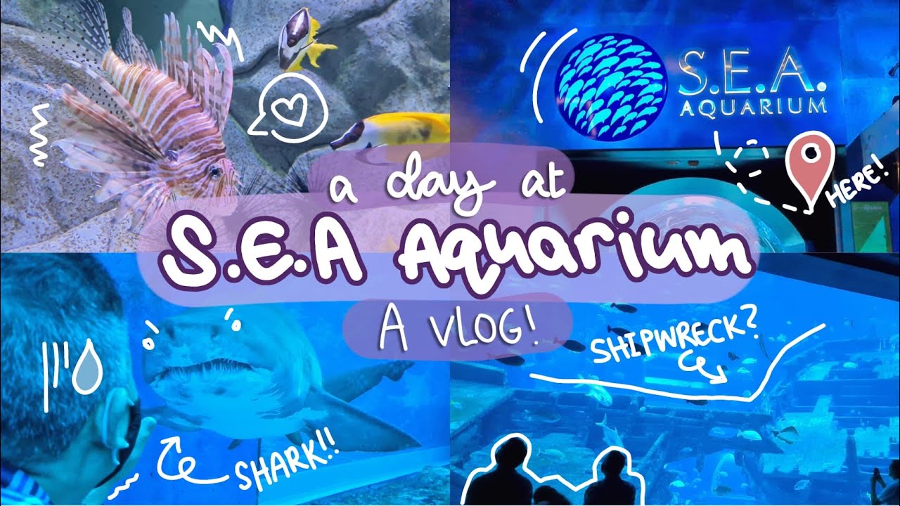 a day at the S.E.A. Aquarium Singapore! 🐡🦈🐠 (aesthetic vlog)