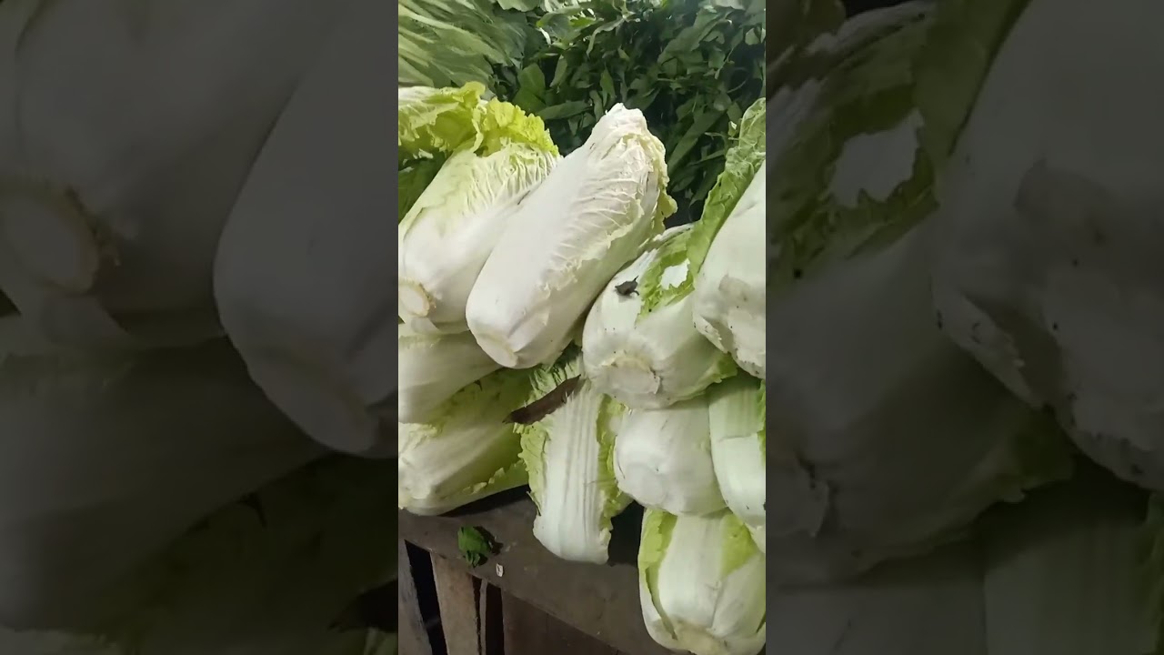 Belanja sayuran dikedai dekat rumah 