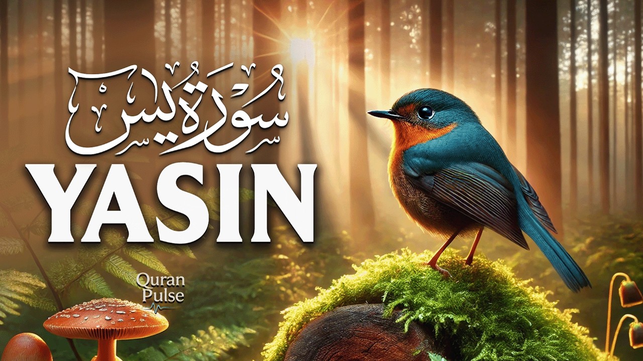 Surah Yaseen (سورة يس) | A Spiritual Recitation Filled With Calm & Light