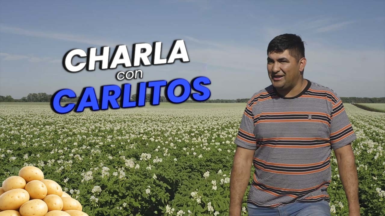 CHARLA con CARLITOS | Recorriendo los campos de Azul