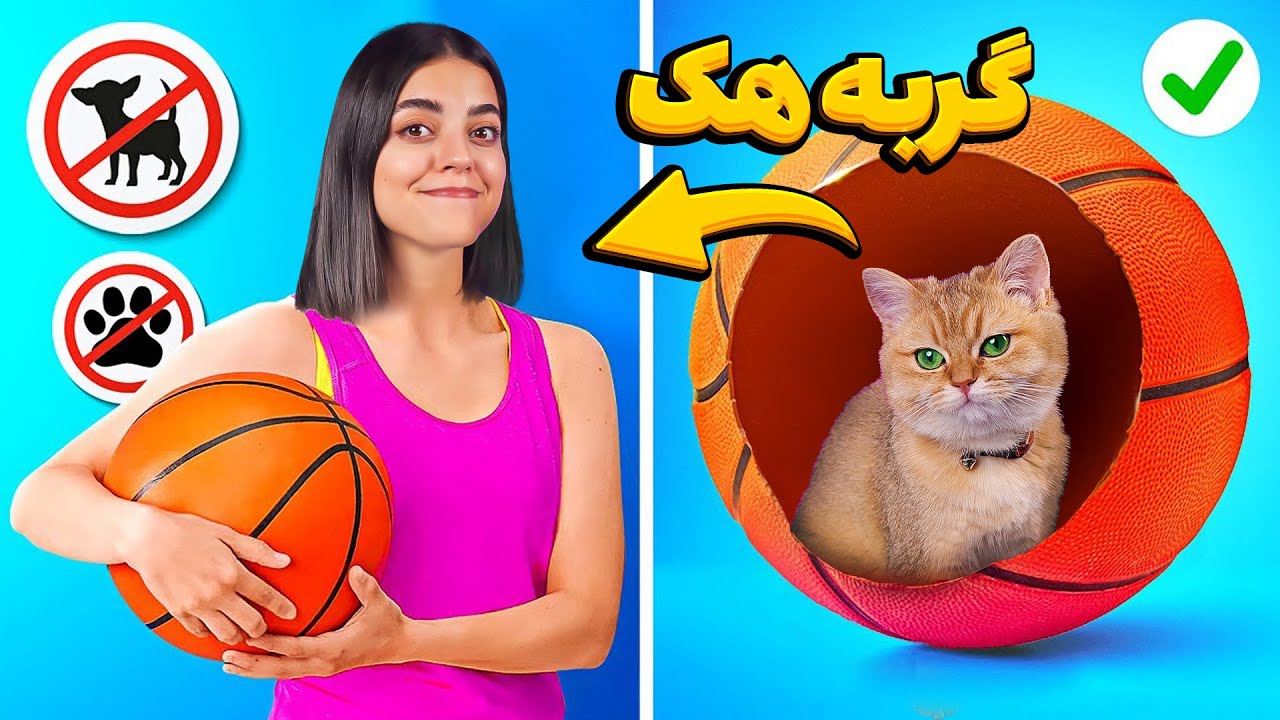 پت هک 🤩 زندگی راحت برای گربه و‌ سگ ها