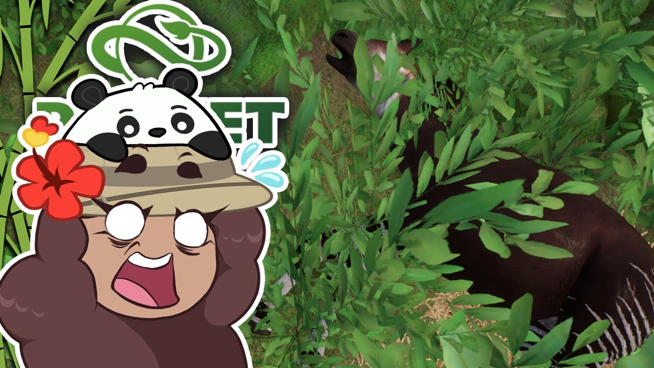 It Isn't a Good Sign When OPTIMISTIC Okapi Die!! 🐼 Planet Zoo: Rewilding Adventures!! •  #3
