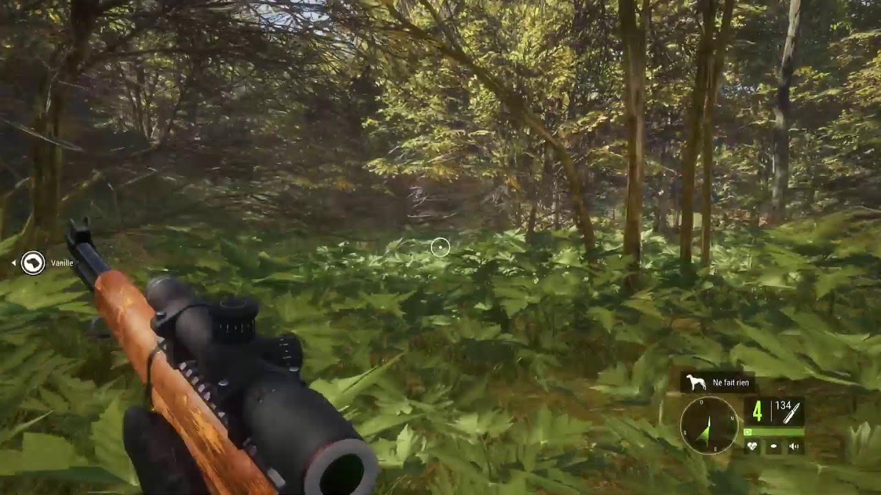 Live THE Hunter une petite chasse