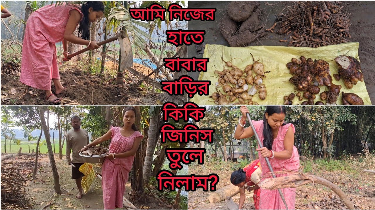 কেশুর তুলতে গিয়ে এতো গুলো কিকি জিনিস তুলে নিয়ে এলাম বাড়িতে ?
