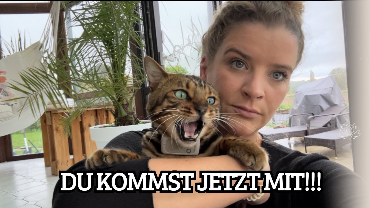 Du darfst kein neues Zuhause haben 😭