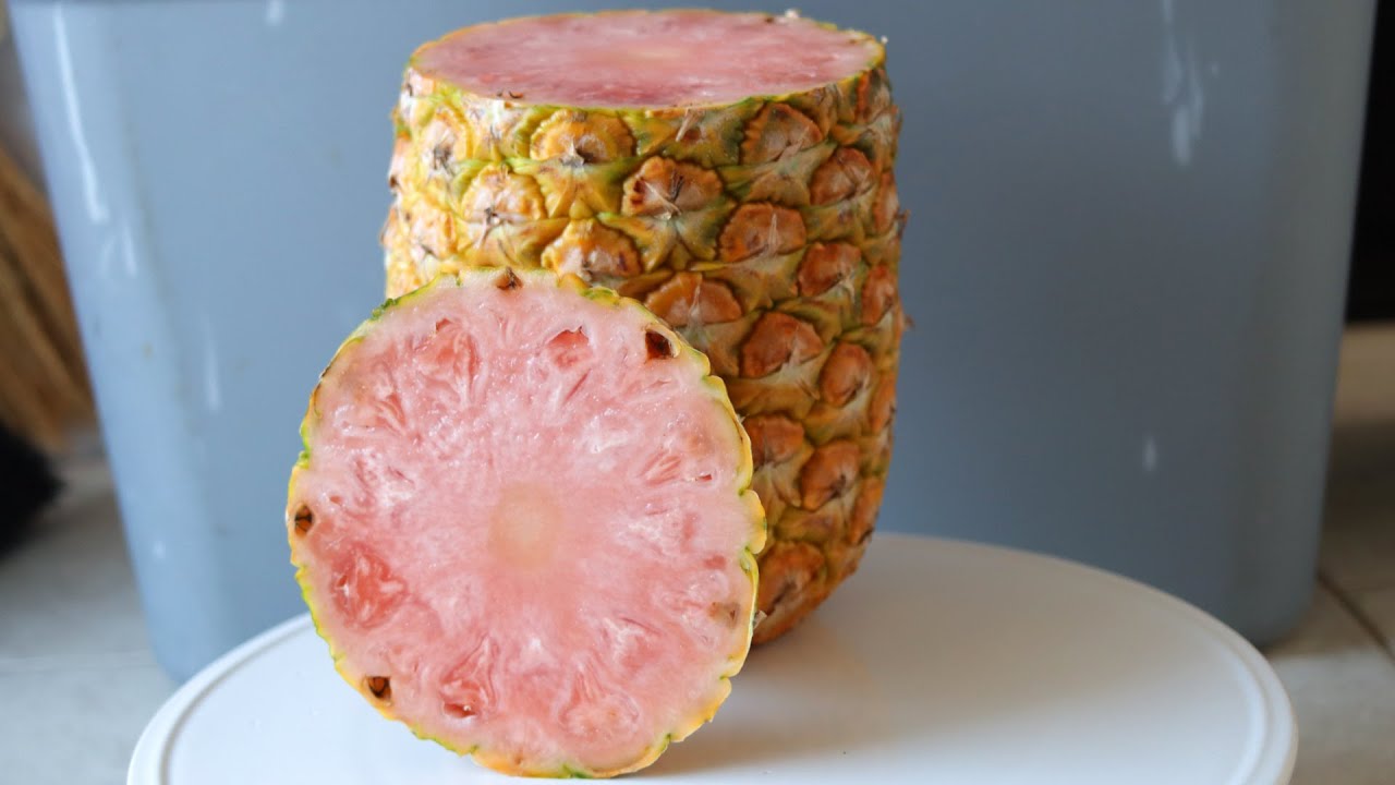 Pinkglow Pineapple Review and Taste Test | Pink Pineapple The Jewel of the Jungle