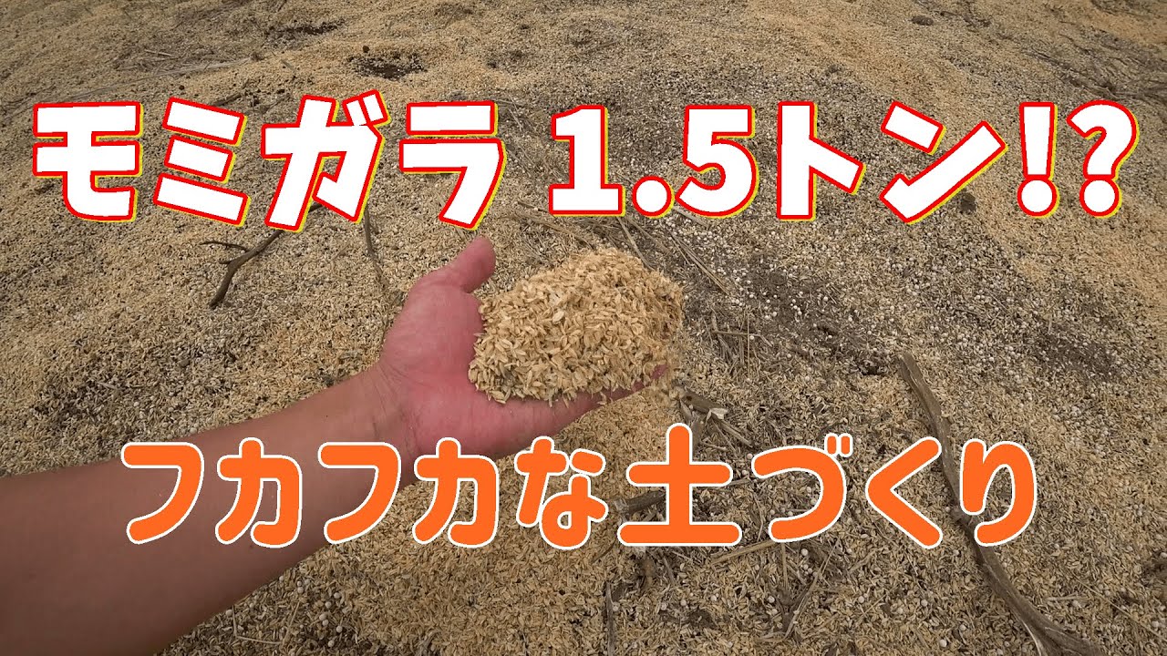 【籾殻を活かした土作り】モミガラ大量投入！モミガラと残渣でフカフカな土作り　トマト農家さんに訪問【土壌改良・トマト】